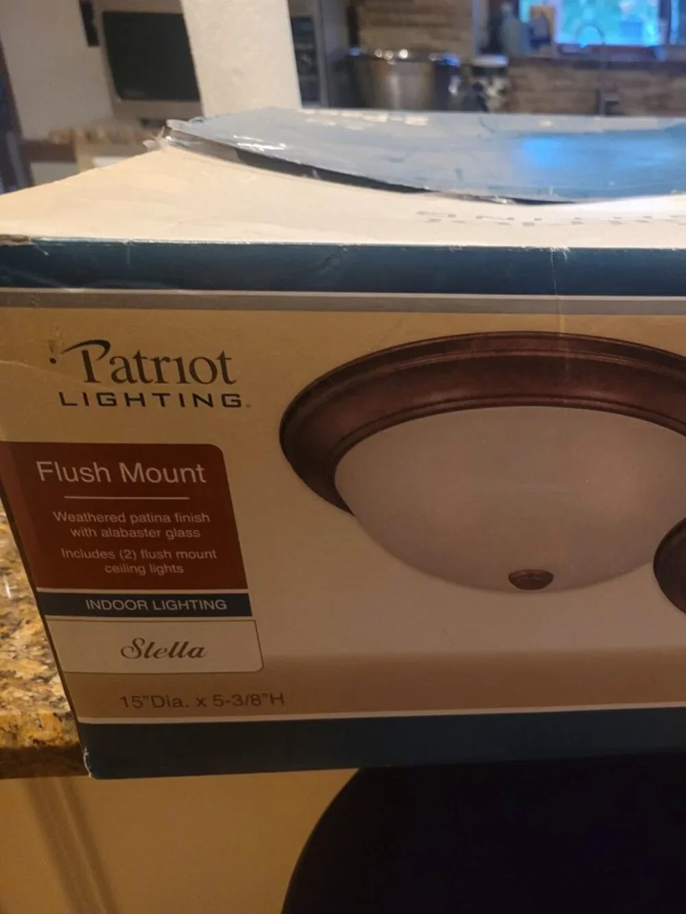 Patriot Flush Mount set of 2  15